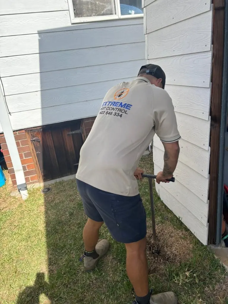 Jimmy treating the soil around a Sydney home for Extreme Pest Control NSW